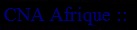 CNA Afrique